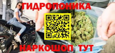 прущий лед Гусев