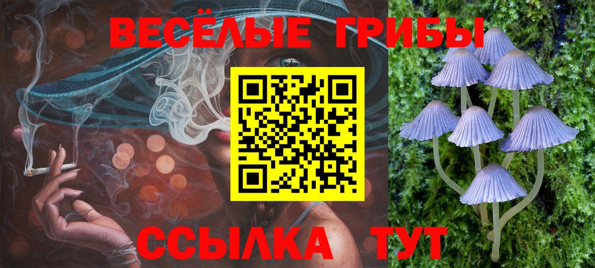 Псилоцибиновые грибы GOLDEN TEACHER  Галлюциногенные грибы Psilocybine cubensis  Вход с VPN  Муравленко 